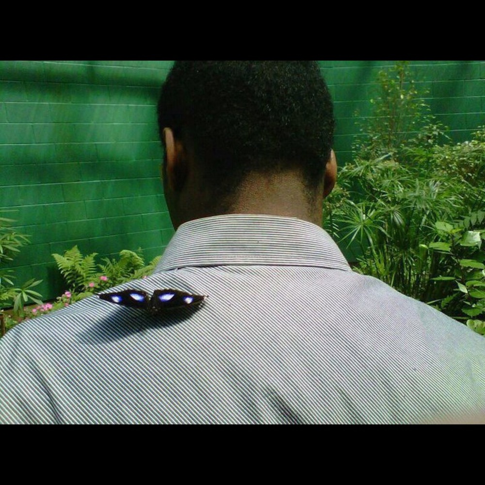 Meet your Posher, Tommie